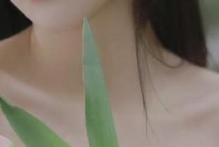 导航到155.fun：寻觅一切趣事的最佳航线，结果却迷路了？