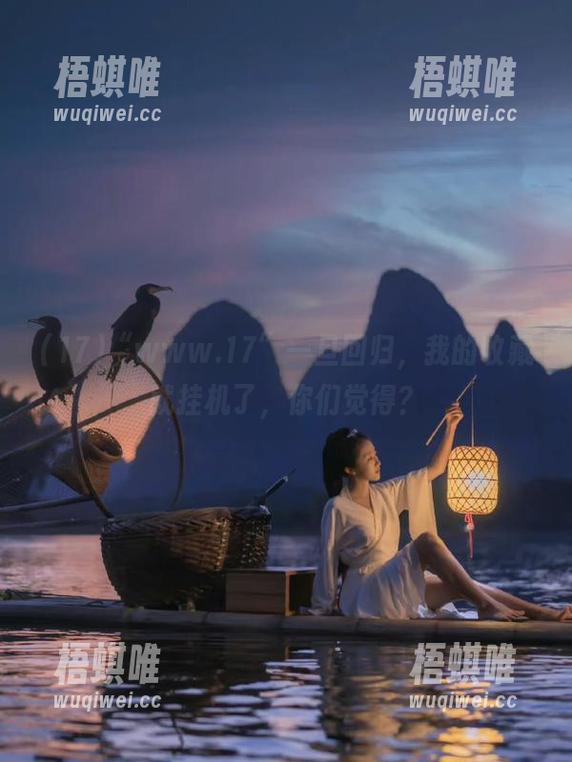 “www.17”一旦回归，我的收藏就挂机了，你们觉得？