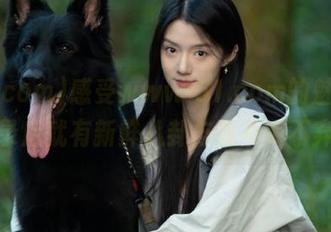 感受www.51.com的魅力，登录后就有新鲜八卦与我不离不弃。