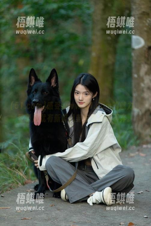 感受www.51.com的魅力，登录后就有新鲜八卦与我不离不弃。