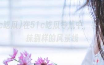在51c吃瓜导航中，寻找那一抹别样的风景线