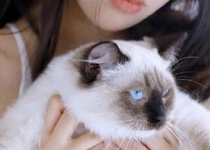 “51吃瓜”app下载有点麻烦，我这根手指都快要发抖了