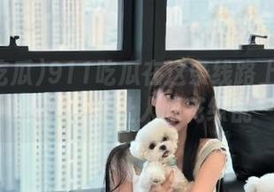 911吃瓜在这条线路上频繁上下，真是让人眼花缭乱