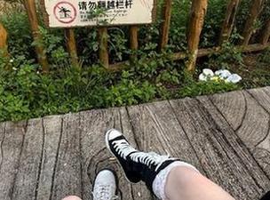 听说“五一吃瓜”官网网页版地址简单明了，结果我满脑袋问号！