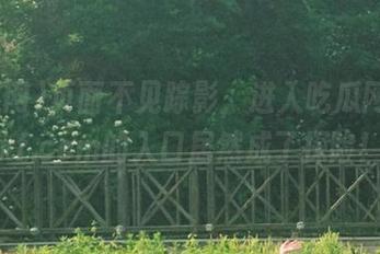 页面不见踪影，进入吃瓜网nplixf.com的入口居然成了探险！