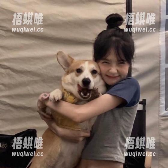 别怀疑：“爆料吃瓜网51”网页上的每个瓜都带着八卦的心跳声，吃得真过瘾。