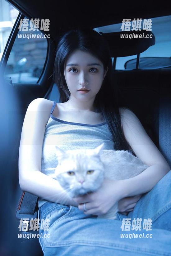 在黑料不打烊网页版，永不迷路，连家里的猫都开始关注大瓜了！